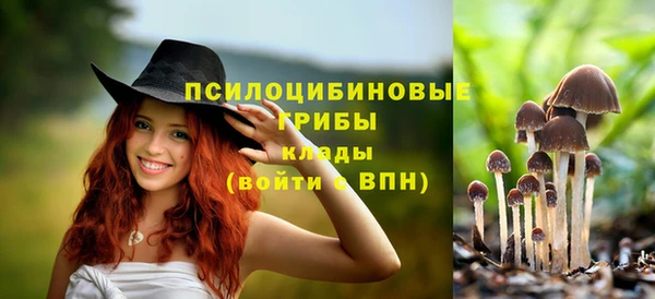 прущая мука Армянск