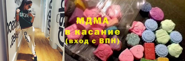 шишки Аркадак