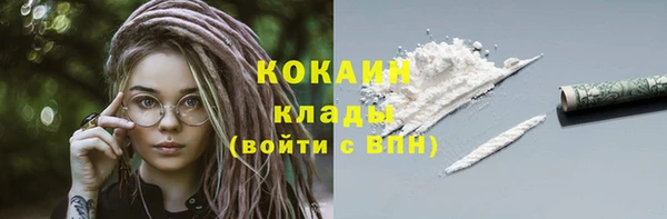 кокс Арсеньев