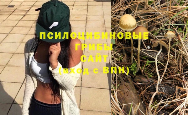 шишки Аркадак