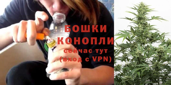 кокс Арсеньев