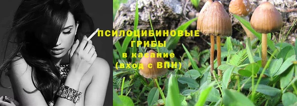кокс Арсеньев