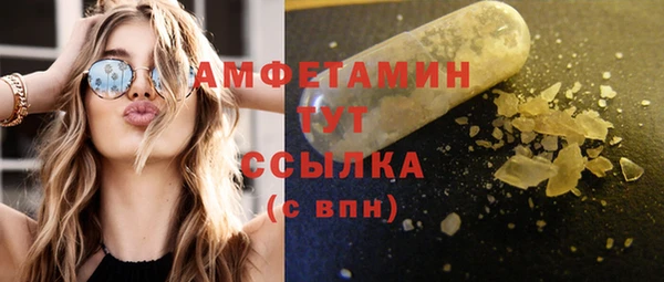 шишки Аркадак