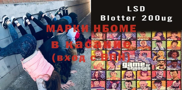 шишки Аркадак