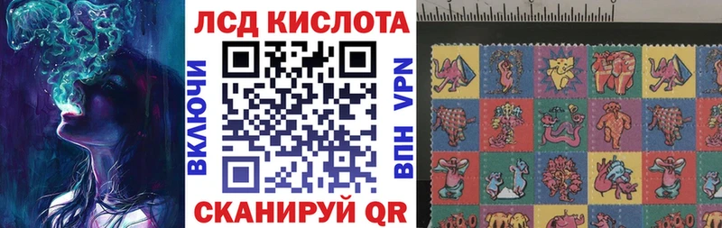 как найти darknet официальный сайт Марки NBOMe 1500мкг Отрадный