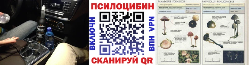 Галлюциногенные грибы мицелий  Отрадный 