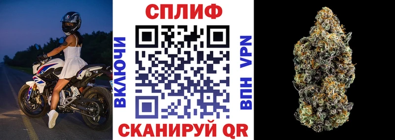 Конопля Bruce Banner  Отрадный 